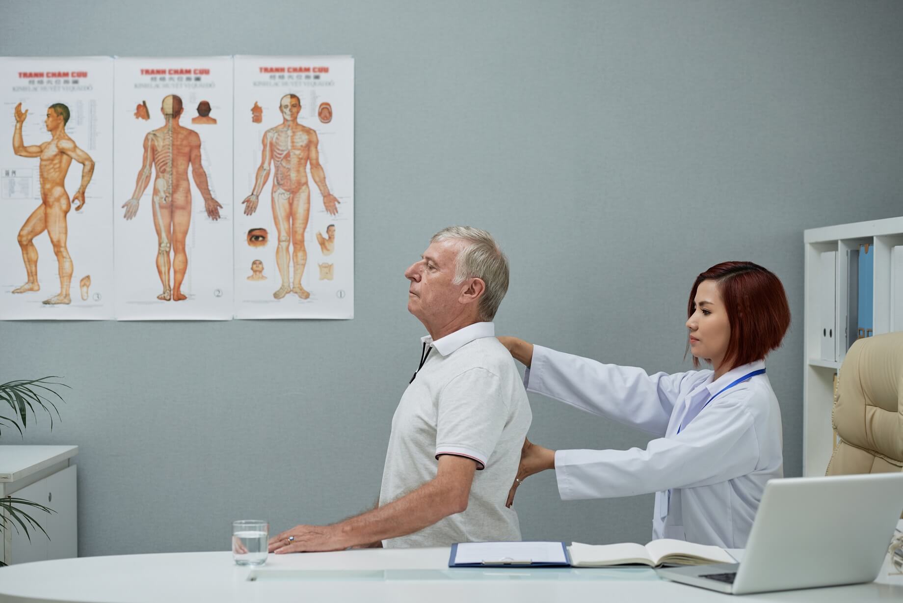 Looking For a Chiropractor in Mississauga or Etobicoke
